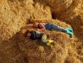 Caucasian little boy and girl with closed eyes sleeping and resting on hay bale in barn on farm. Brother and sister family relationship. Modern countryside lifestyle. Warm sunny day