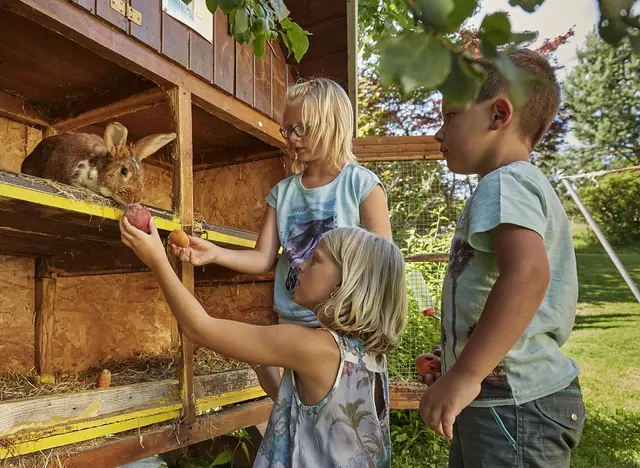 im Urlaub auf dem Bauernhof auf der Schwäbischen Alb Kaninchen streicheln und füttern