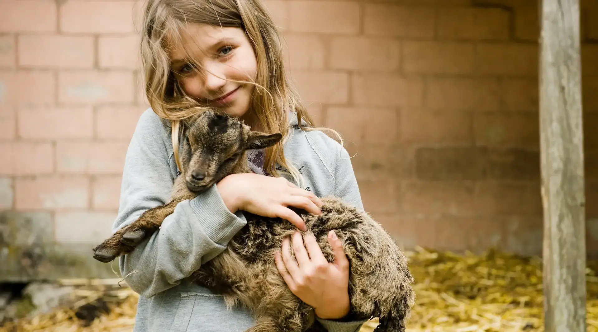 Hautnah dabei: Ein Kind kuschelt mit einem Zieglein – unvergessliches Bauernhoferlebnis für die ganze Familie. - © Shestakoff, adobe stock Kind hält ein junges Lamm im Arm in einem Stall