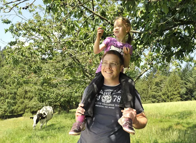 im Urlaub auf dem Kinderhof am Bodensee Früchte vom Baum naschen