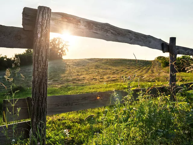 im Urlaub auf dem Landhof in Thüringen einen Spaziergang durch Wälder und an Weiden unternehmen