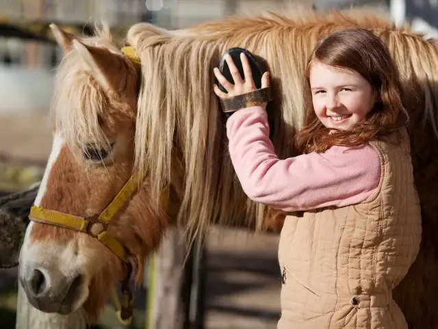Mädchen striegelt Pony – Bauernhoferlebnis für Groß und Klein - © contrastwerkstatt, adobe stock Ein Mädchen striegelt ein Pony und lächelt glücklich auf einem Bauernhofurlaub