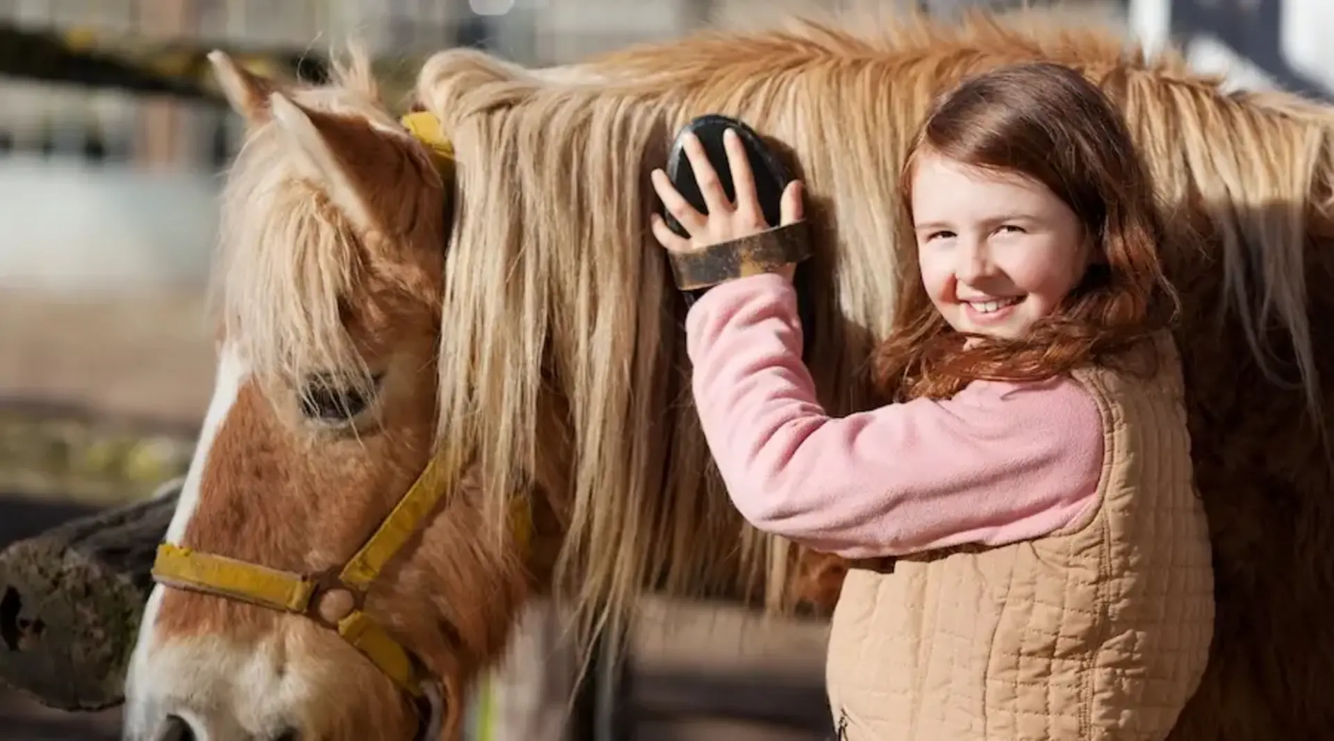 Ein Mädchen striegelt ein Pony und lächelt glücklich auf einem Bauernhofurlaub auf Fehmarn. 