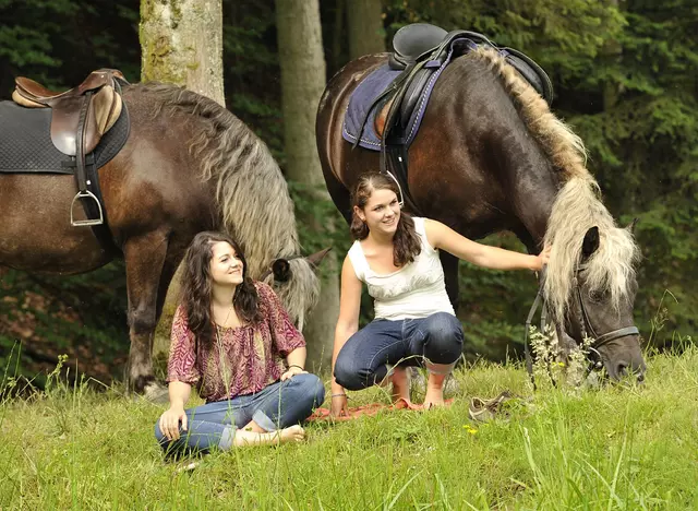 im Reiturlaub im Schwarzwald einen Geländeausritt machen