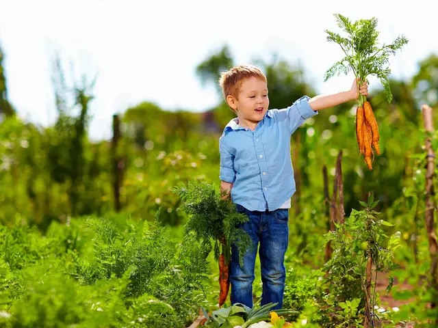 im Urlaub auf dem Bauernhof helfen Kinder bei der Ernte von frischem Gemüse