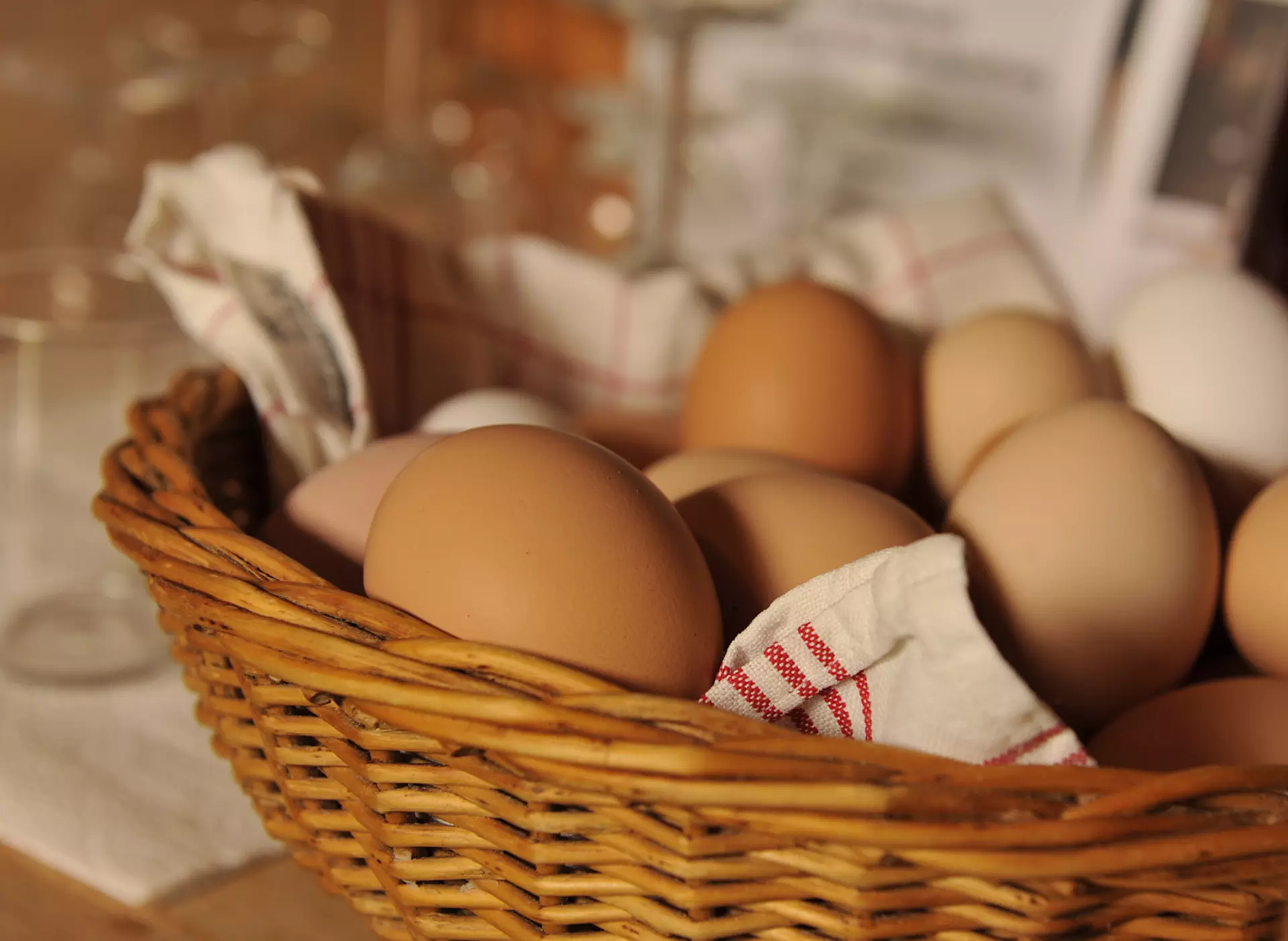 im Urlaub auf dem Bauernhof auf der Schwäbischen Alb Eier im Hühnerstall sammeln oder im Hofladen kaufen