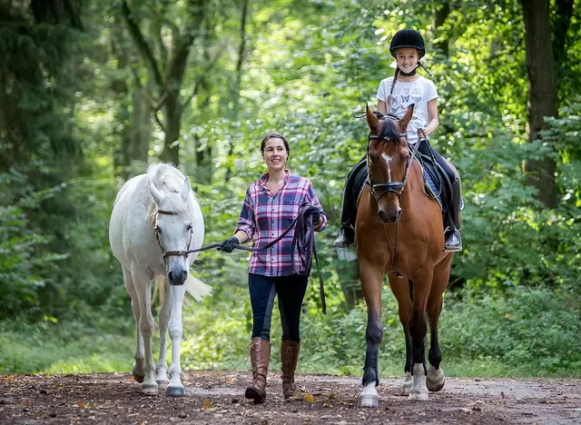 im Reiturlaub im Herrenhaus Koitendorf die Mecklenburgische Schweiz bei Ausritten entdecken 