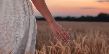 Frau streicht mit der Hand durch ein Weizenfeld bei Sonnenuntergang - © Paul, adobe stock Hand einer Frau streift bei Sonnenuntergang durch reife Weizenähren auf einem Feld.