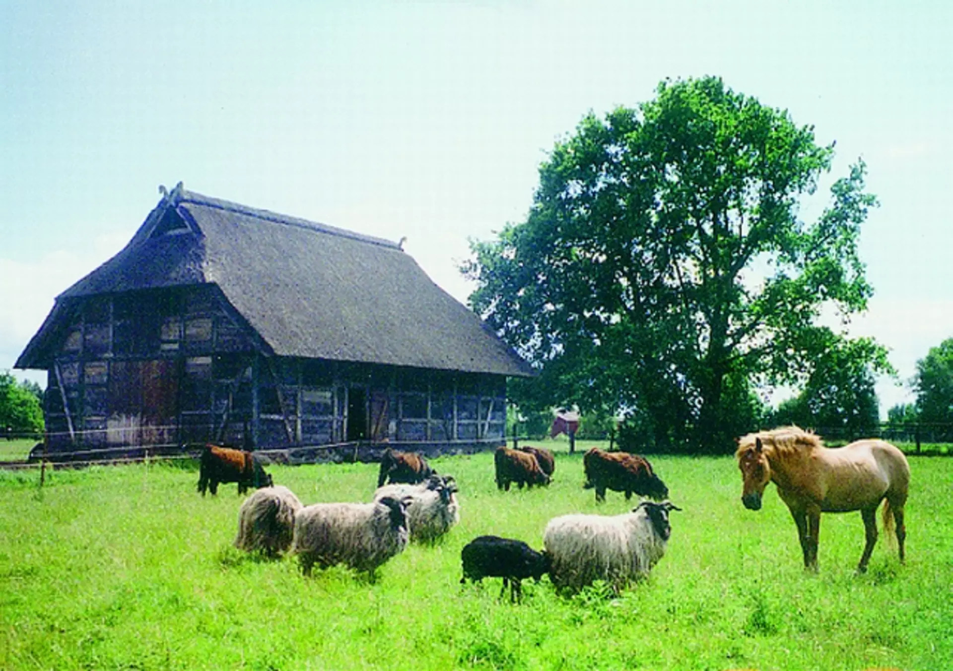 Hofstelle in der Südheide