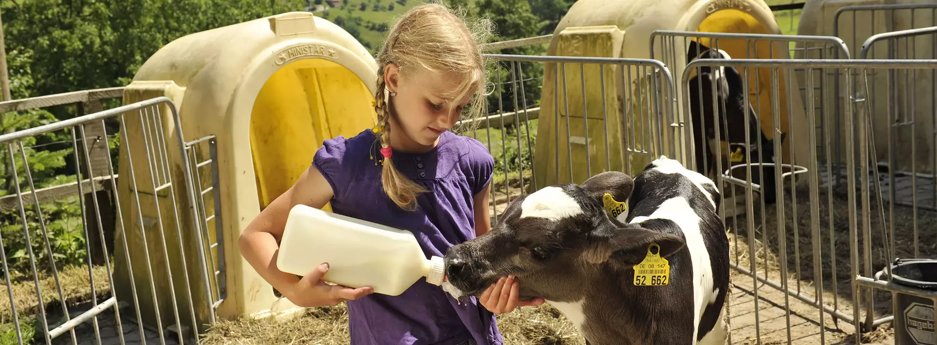 Urlaub auf dem Bauernhof: Tiere streicheln und füttern