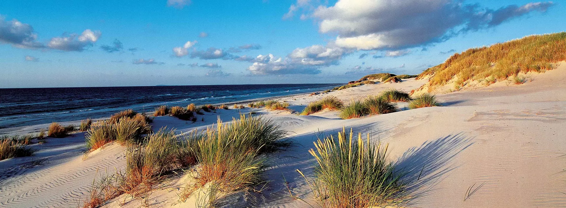 im Urlaub Fischland-Darß-Zingst entdecken und am Strand spazieren