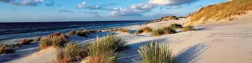 im Urlaub Fischland-Darß-Zingst entdecken und am Strand spazieren