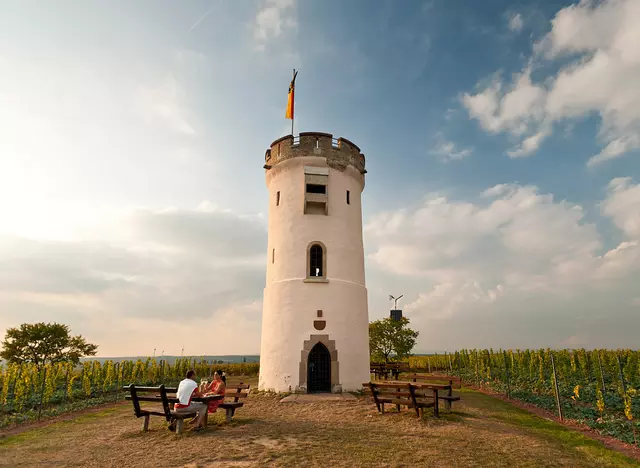 im Urlaub auf dem Weingut in Rheinhessen eine Weinbergwanderung mit Picknick am Wartturm bei Nierstein machen