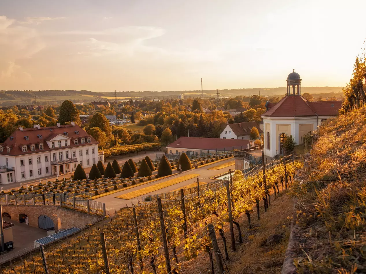 Schloss und Weingut Wackerbarth