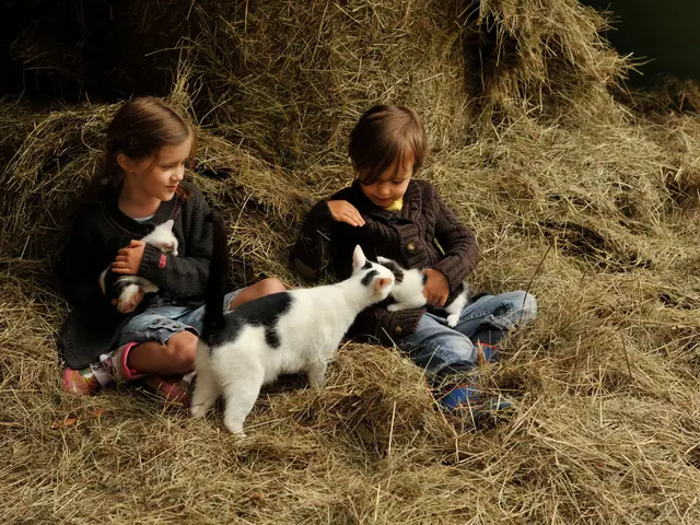 Zwei Kinder sitzen im Heu und streicheln 2 Babykatzen und ihre Mamakatze.