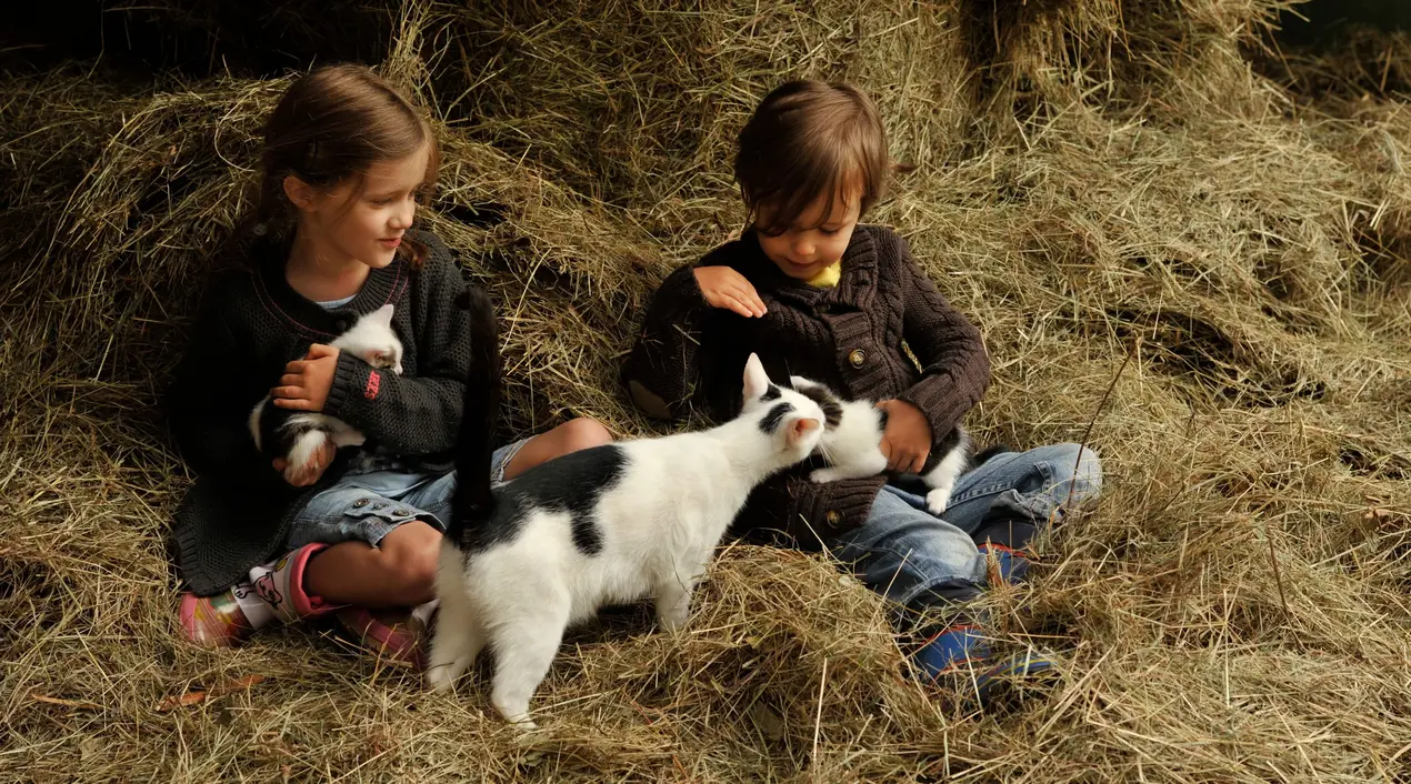 Zwei Kinder sitzen im Heu und streicheln 2 Babykatzen und ihre Mamakatze.