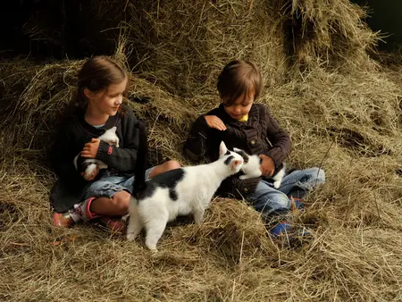 Zwei Kinder sitzen im Heu und streicheln 2 Babykatzen und ihre Mamakatze."