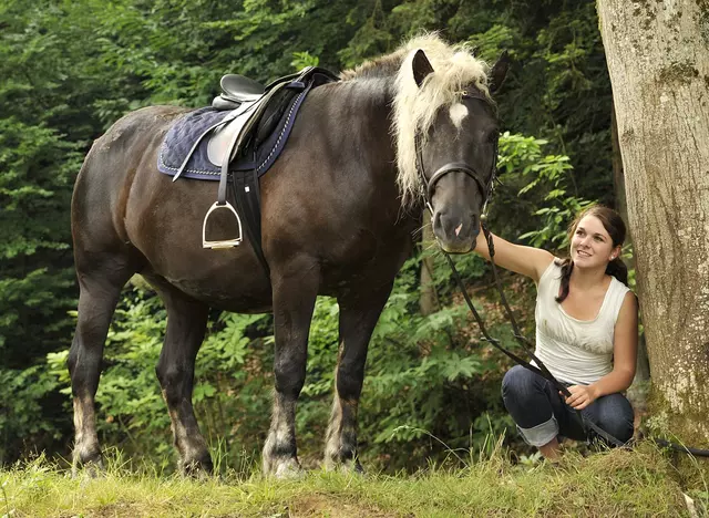 im Urlaub auf dem Reiterhof im Odenwald Zeit mit dem eigenen Pferd verbringen und die Natur genießen
