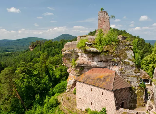 im Urlaub in der Pfalz auf dem Pfälter Waldpfad vorbei an der Burgruine Altdahn wandern