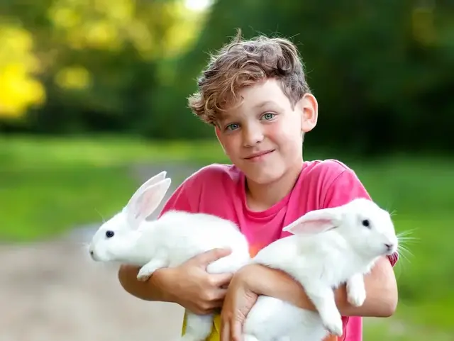 Junge mit Hasen – Urlaub auf dem Bauernhof in der Holsteinischen Schweiz  - © Ольга Потылицына – stock.adobe.com Ein Junge hält zwei weiße Hasen im Arm auf einem Bauernhof in der Holsteinischen Schweiz während eines Urlaubs auf dem Land.