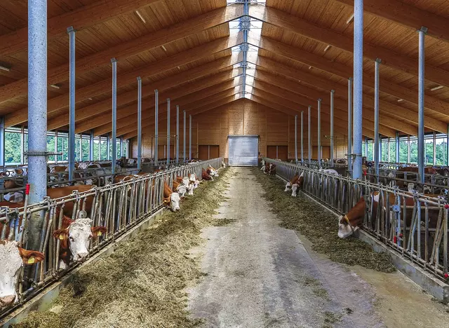 im Urlaub auf dem Bauernhof in Bayern moderne Landwirtschaft erleben