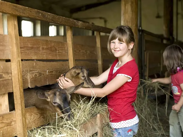 Urlaub auf dem Bauernhof auf der Ziegenalm in Sophienhof machen