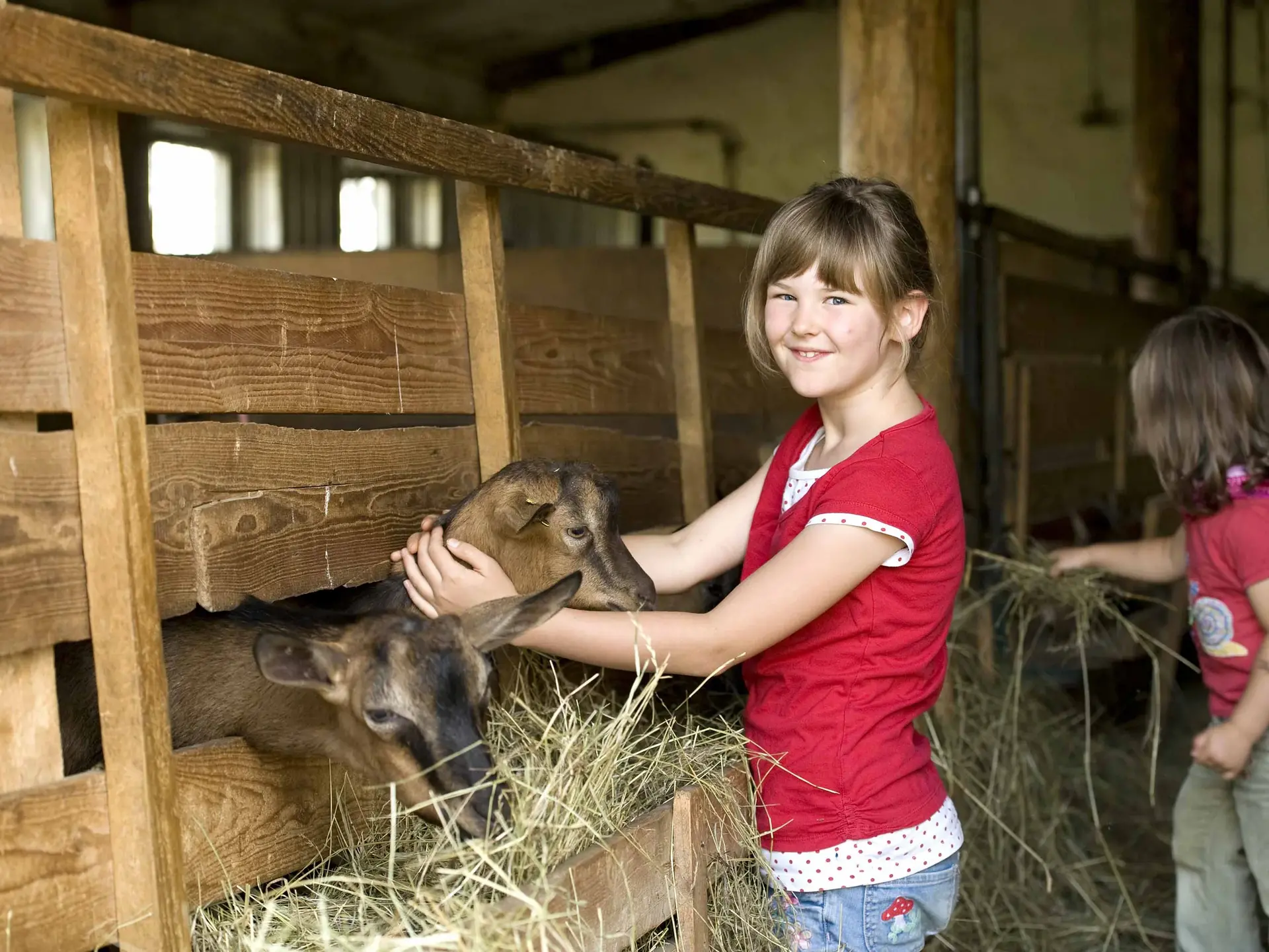 Ziegen streicheln auf der Ziegenalm - © Susanne Mölle, Landsichten.de Urlaub auf dem Bauernhof auf der Ziegenalm in Sophienhof machen