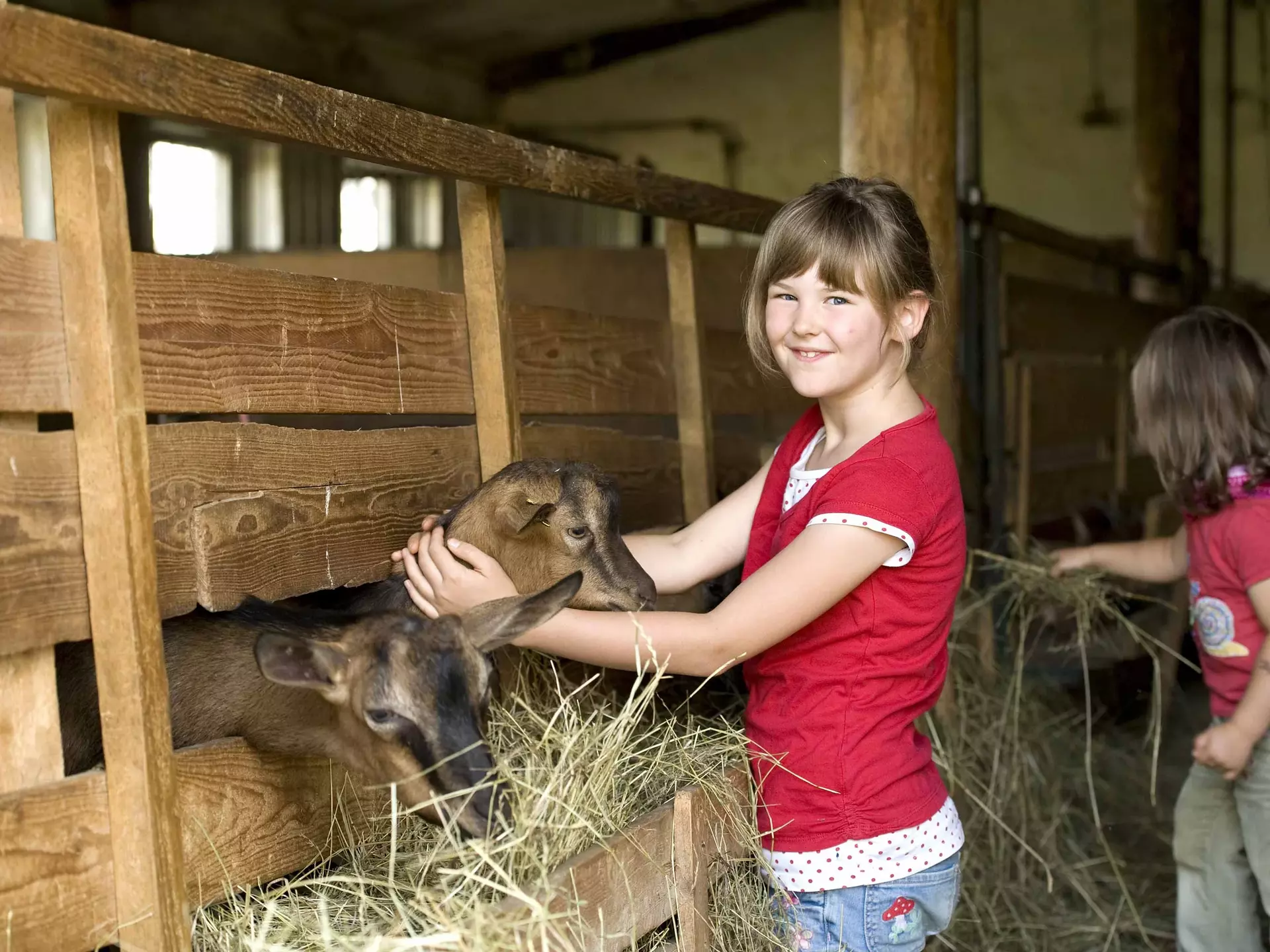 Ziegen streicheln auf der Ziegenalm - © Susanne Mölle, Landsichten.de Urlaub auf dem Bauernhof auf der Ziegenalm in Sophienhof machen