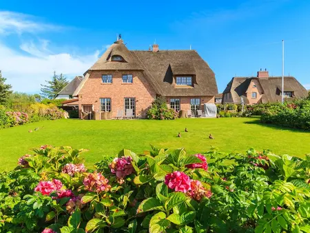 Traditionelles Ferienhaus mit Reetdach steht inmitten einer naturbelassenen Landschaft bei Kampen auf Sylt, umgeben von Wiesen, Dünen und typisch norddeutscher Architektur. 