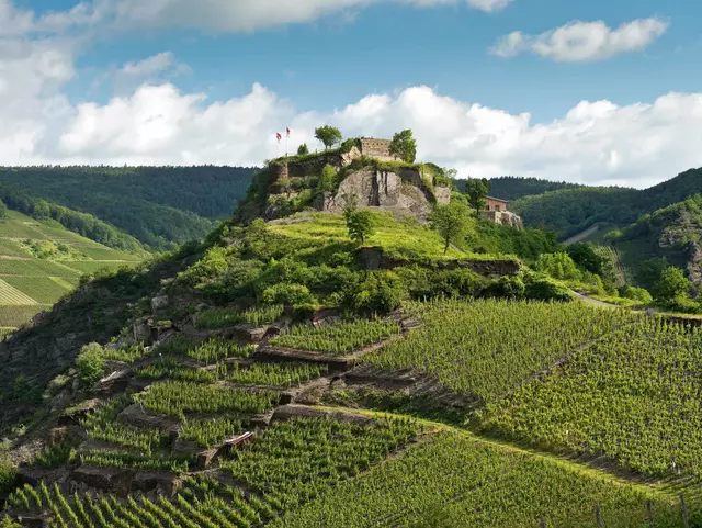 im Urlaub auf dem Weingut an der Ahr auf dem Ahrsteig zur Saffenburg bei Mayschoß wandern