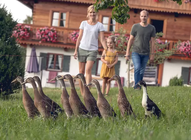 im Urlaub auf dem Bauernhof am Tergern und Schliersee Tiere erleben und füttern