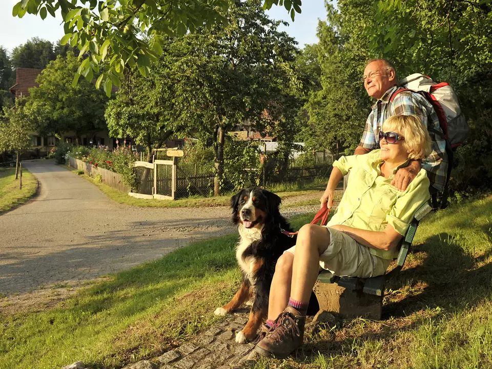 Urlaub mit Hund - Wanderpause mit dem Vierbeiner - © Landsichten.de, Susanne Mölle Urlaub mit Hund - Pause beim Wandern mit dem Hund