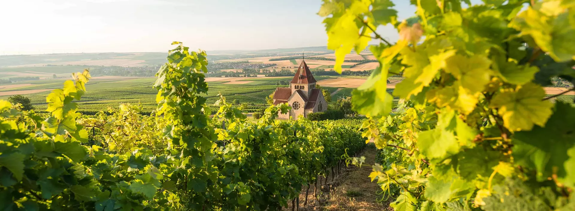 im Urlaub am Weingut in Rheinhessen eine Weinbergwanderung zur Kreuzkapelle auf dem Wißberg von Gau-Bickelheim machen