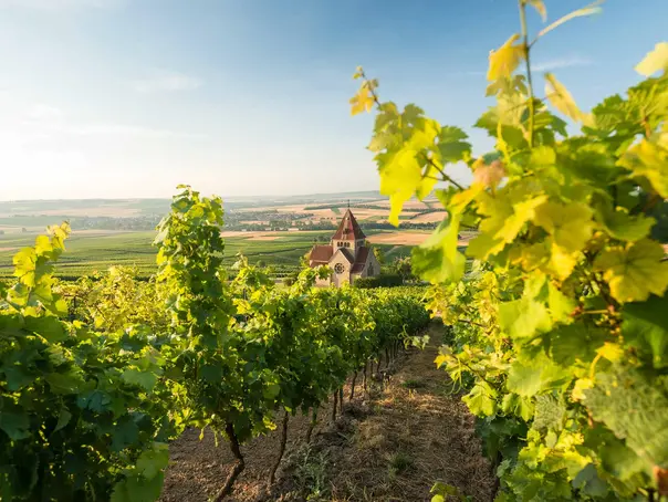 im Urlaub am Weingut in Rheinhessen eine Weinbergwanderung zur Kreuzkapelle auf dem Wißberg von Gau-Bickelheim machen