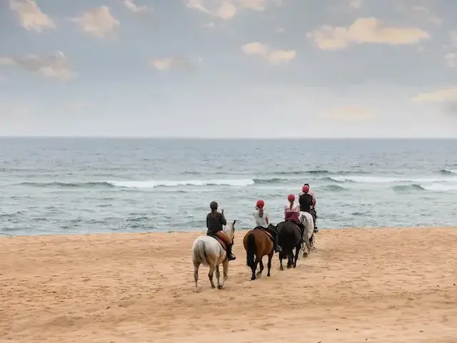 Ausritt am Meer vom Reiterhof in Niedersachsen - © © Image'in - Adobe Stock Gruppe von fünf Reitern reitet am Strand entlang.