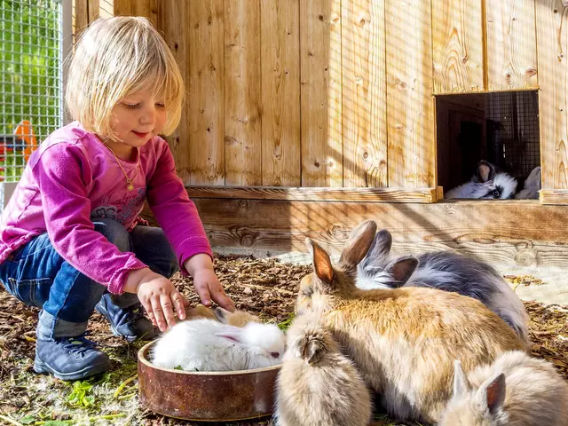 In Bauernhofferien in Thüringen können Kinder Tiere erleben, streicheln und füttern.
