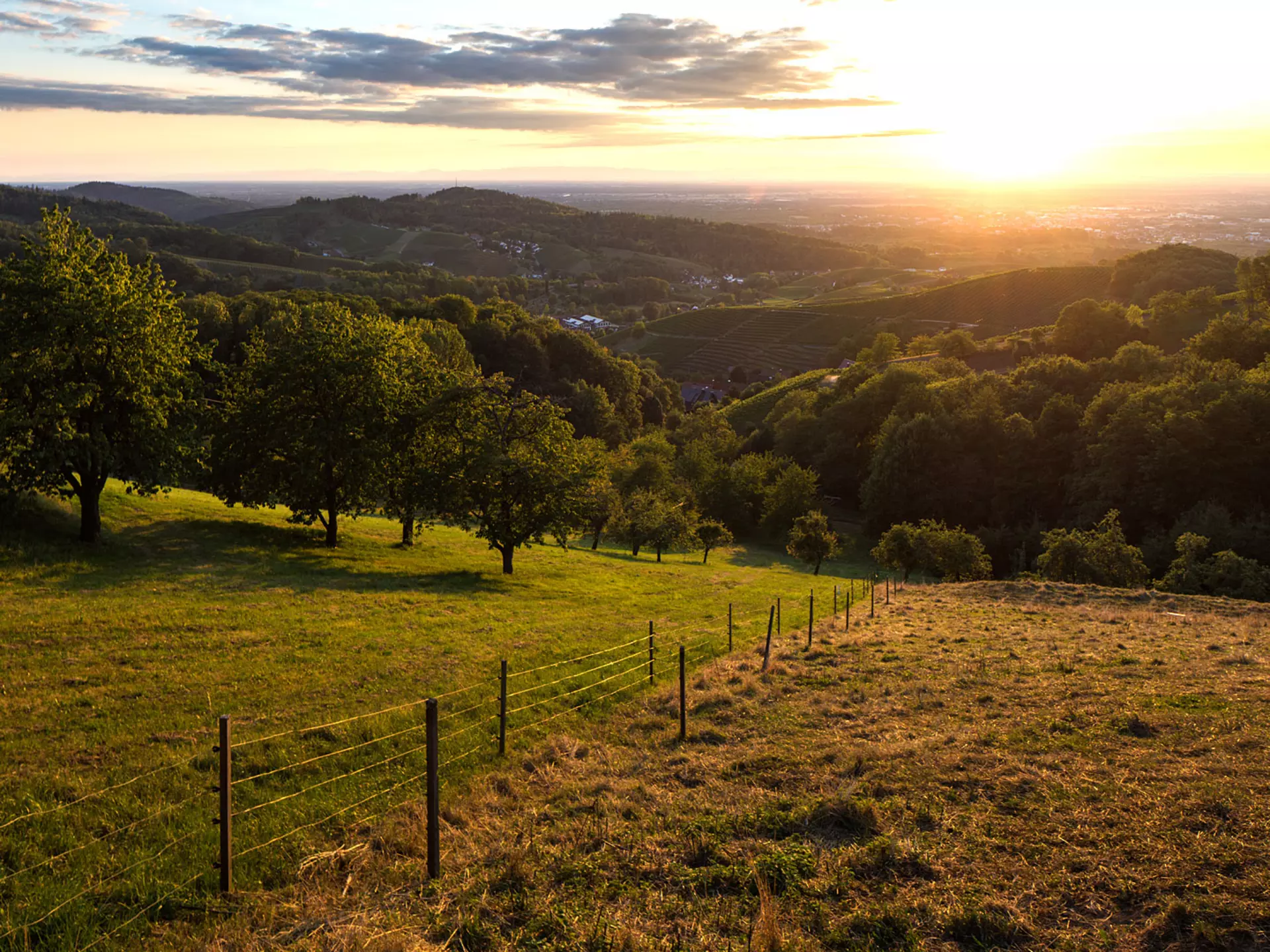 Urlaub im Schwarzwald - Urlaub in den Bergen in Baden-Württemberg - © Tourist-Info Sasbachwalden, Steffen Egly Urlaub in den Bergen - Urlaub im Schwarzwald, Deutschlands höchstes und größtes zusammenhängendes Mittelgebirge