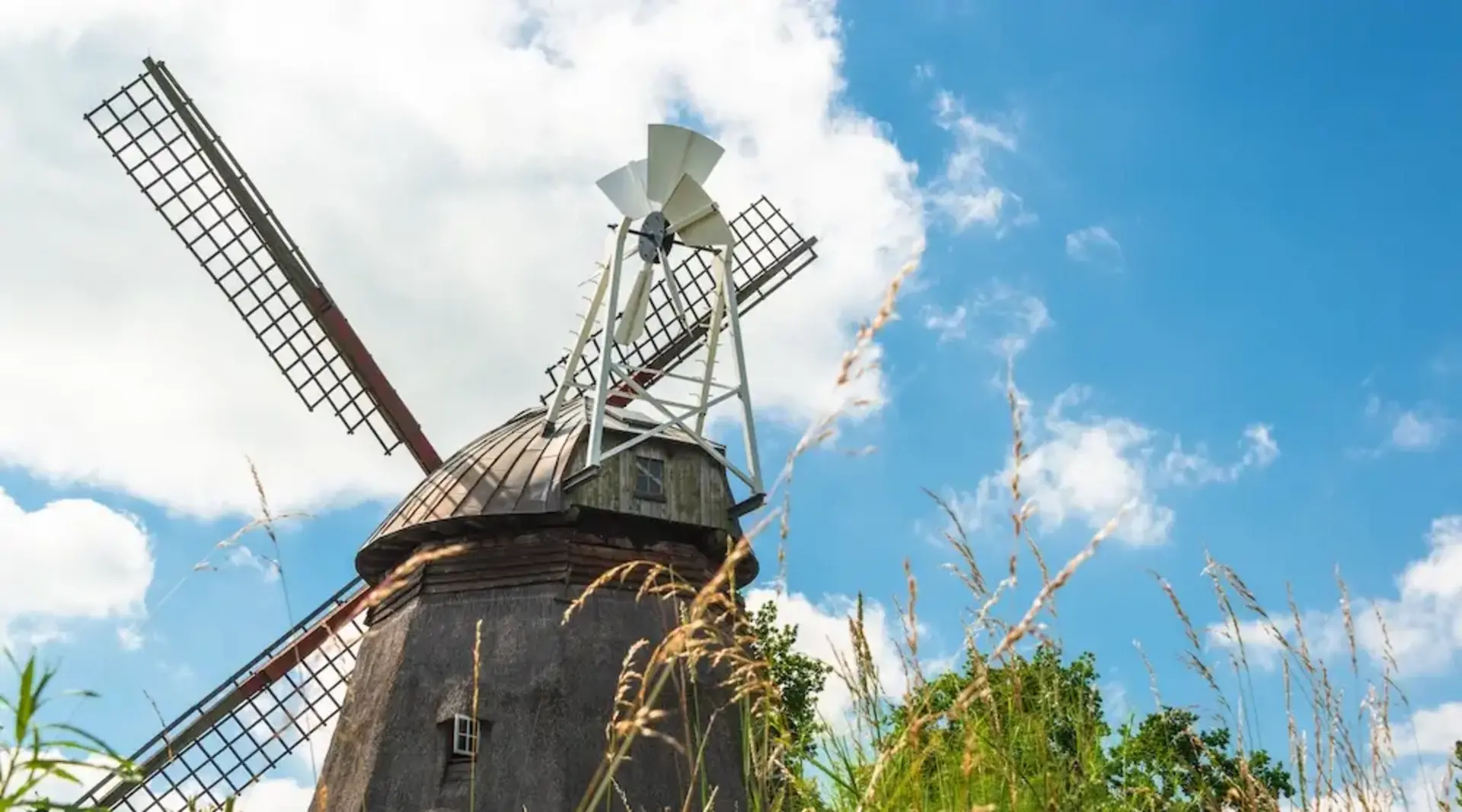 Mühle Grebin – Ausflugslokal mit Charme bei Plön in der Holsteinischen Schweiz - © penofoto.de – stock.adobe.com Die Mühle Grebin in der Holsteinischen Schweiz ist ein Ausflugslokal, in dem Gäste bei Kaffee, Kuchen und Musik den Urlaub auf dem Bauernhof genießen.