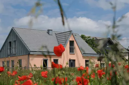Blumenwiese am Ferienhaus - © LAG RP
, Schöne Ferienhäuser mitten im Grünen in Rheinland-Pfalz. 