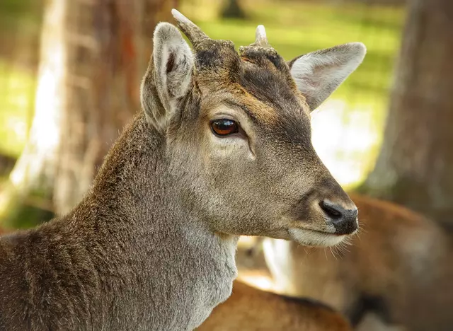 im Urlaub auf dem Bauernhof im Odenwald mit Kindern den Naturerlebnispark in Schwarzach besuchen