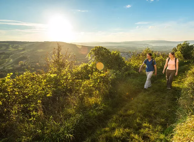 im Wanderurlaub in Rheinhessen eine Wanderung auf der Hiwweltour Bismarckturm machen