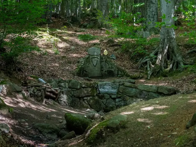 Kleine Quelle im Wald mit fließendem Wasser zwischen Steinen und moosbewachsener Umgebung