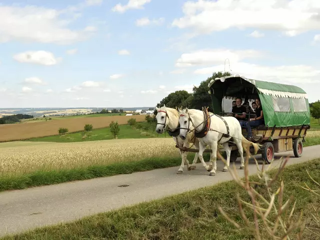 mit der Pferdekutsche einne Ausflug in die Region machen