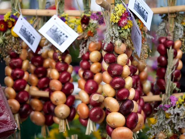 im Urlaub am Kyffhäuser den Zwiebelmarkt in Heldrungen besuchen