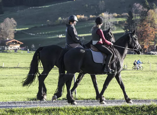 im Urlaub auf dem Bauernhof in Bayern einen Ausritt in die Umgebung machen