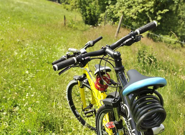 im Urlaub auf dem Bauernhof im Odenwald - Neckartal eine Radtour unternehmen
