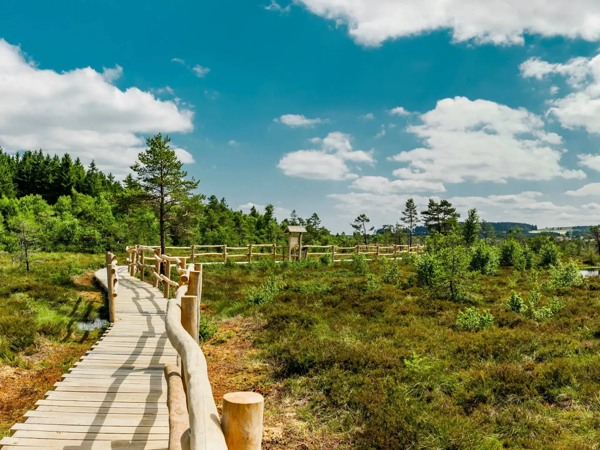 Holzbohlenweg mit Geländer durch die Moorlandschaft des Schwarzen Moors in der Rhön, mit kleinen Wasserflächen, niedriger Vegetation und bewaldeten Hügeln.