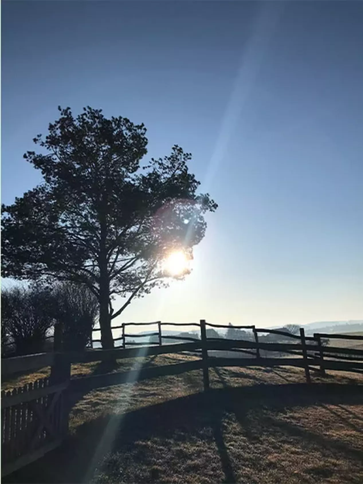 Blick in die Landschaft mit Baum und Wiese. Die Sonne geht auf beim Ferienhof Dreher. 
