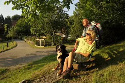 Paar ruht sich gemeinsam mit ihrem Hund auf einer Bank aus und genießt die Sonnenstrahlen.