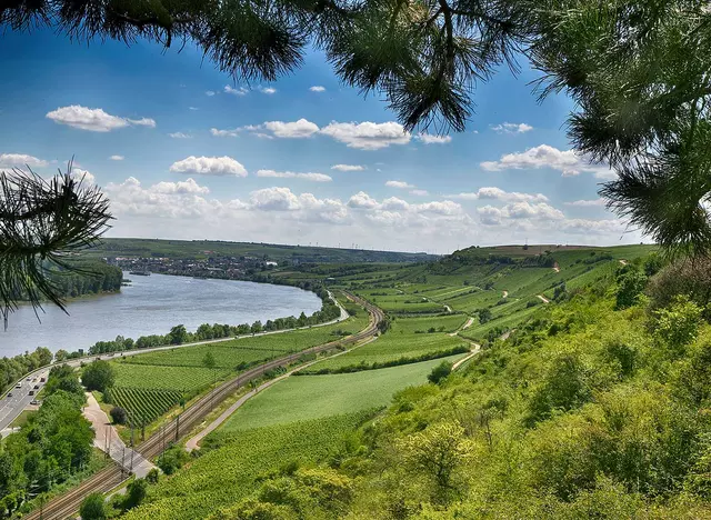 im Urlaub auf dem Weingut in Rheinhessen den herrliche Ausblick auf die Weinberge am Rhein genießen